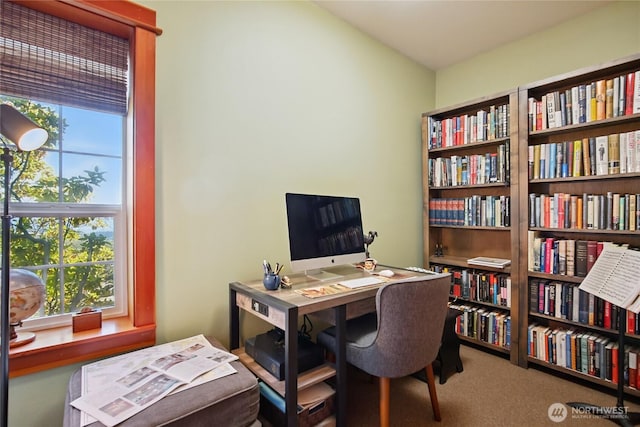 12 Hawks Way, Sequim, WA 98382 - photo 29