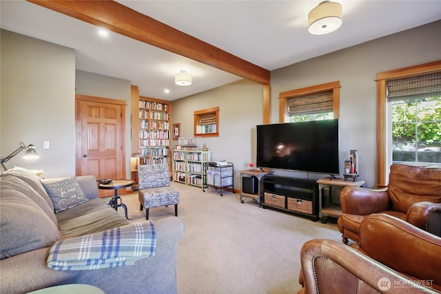 12 Hawks Way, Sequim, WA 98382 - photo 30