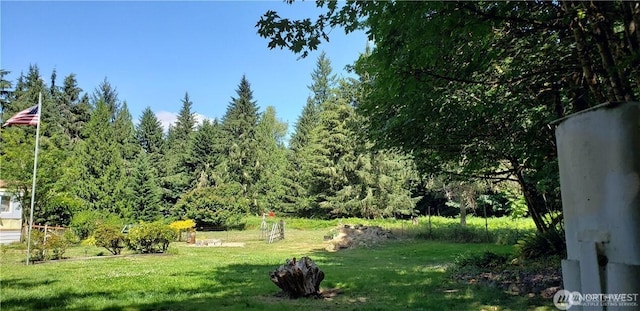 29117 31st Ave E, Spanaway, WA 98387 - photo 11