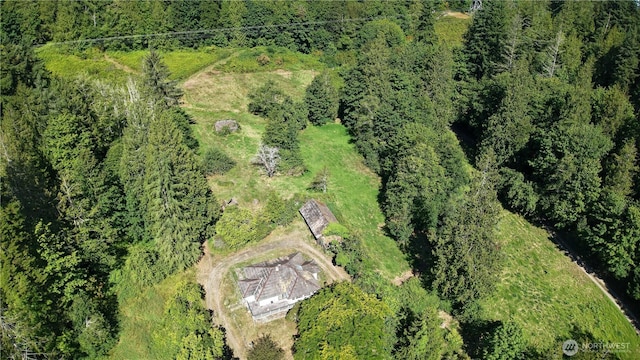 1030 Linger Longer Rd, Quilcene, WA 98376 - photo 3