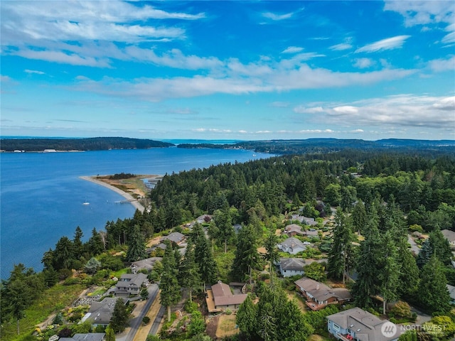 231 Windship Dr, Port Townsend, WA 98368 - photo 39