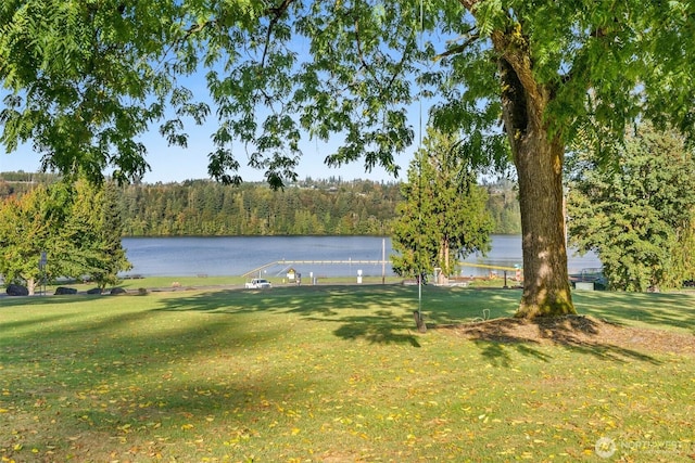 173 Beach Rd, Mossyrock, WA 98564 - photo 5