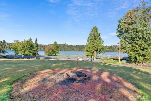 173 Beach Rd, Mossyrock, WA 98564 - photo 38