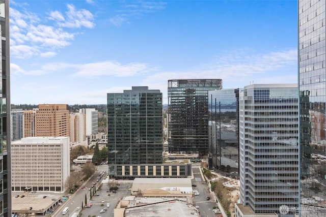10700 NE 4th St Unit 3108, Bellevue, WA 98004 - photo 18