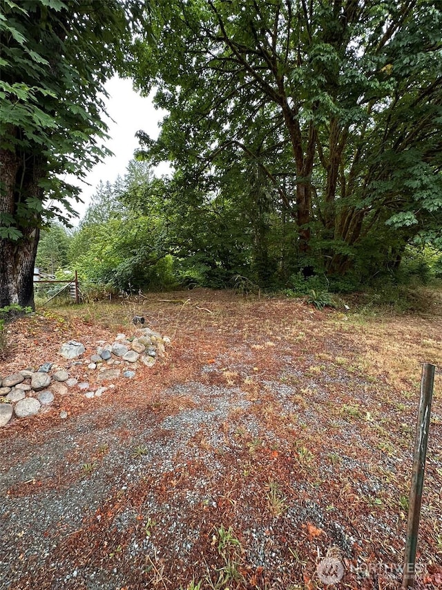26711 469th Ave NE, Darrington, WA 98241 - photo 9