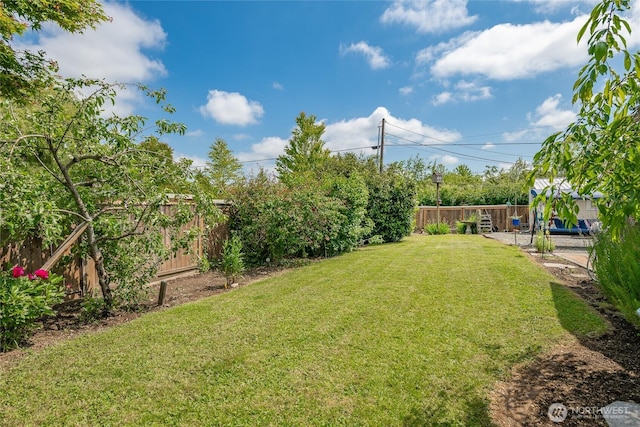1800 Pine St, Lynden, WA 98264 - photo 28