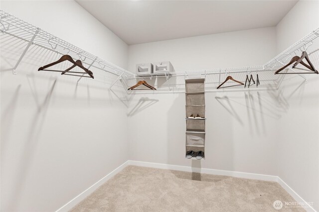 26858 NE 143rd Cir Unit 21, Duvall, WA 98019 - photo 23