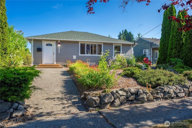 4519 N 16th St, Tacoma, WA 98406 - photo 1