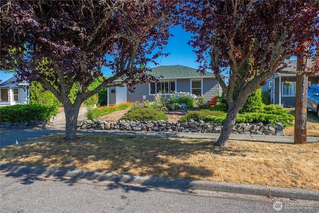4519 N 16th St, Tacoma, WA 98406 - photo 2