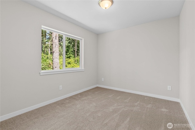 17521 Loop Ln SE, Yelm, WA 98597 - photo 11