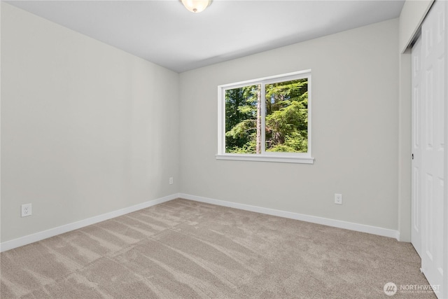 17521 Loop Ln SE, Yelm, WA 98597 - photo 13