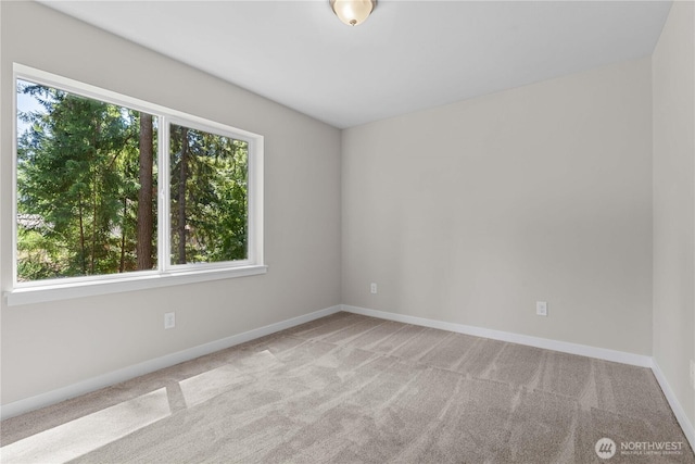 17521 Loop Ln SE, Yelm, WA 98597 - photo 15