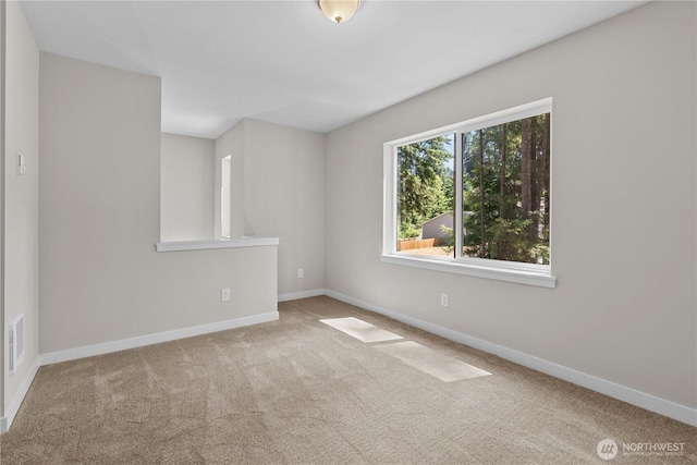 17521 Loop Ln SE, Yelm, WA 98597 - photo 17