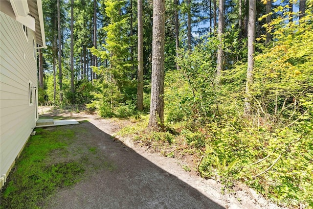 17521 Loop Ln SE, Yelm, WA 98597 - photo 28
