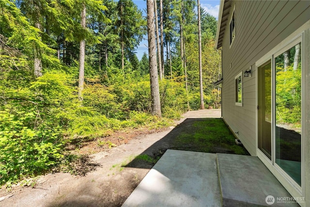 17521 Loop Ln SE, Yelm, WA 98597 - photo 30