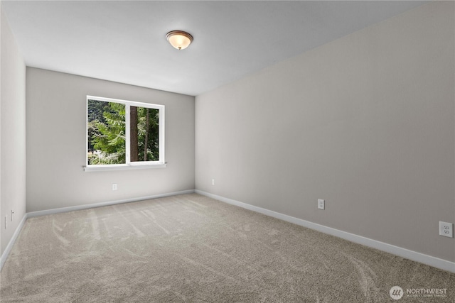 17519 Loop Ln SE, Yelm, WA 98597 - photo 11