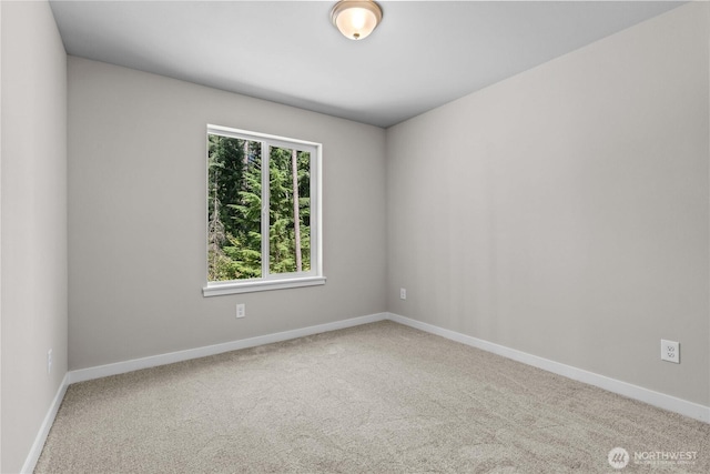 17519 Loop Ln SE, Yelm, WA 98597 - photo 16