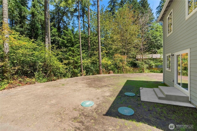 17519 Loop Ln SE, Yelm, WA 98597 - photo 20