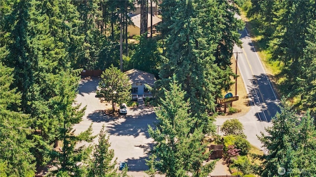 17519 Loop Ln SE, Yelm, WA 98597 - photo 26