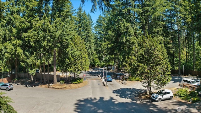 21720 N Clear Lake Blvd SE, Yelm, WA 98597 - photo 27