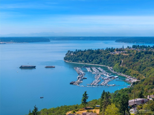 1826 Browns Point Blvd, Tacoma, WA 98422 - photo 34