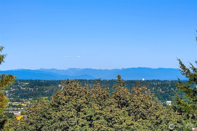 25402 39th Pl S, Kent, WA 98032 - photo 6