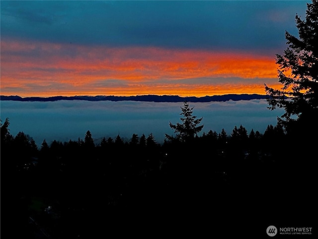 25402 39th Pl S, Kent, WA 98032 - photo 5