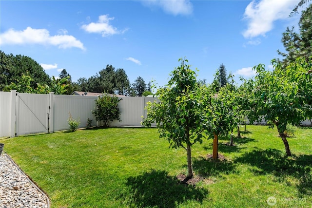 1106 Filbeck Pl, Wenatchee, WA 98801 - photo 24