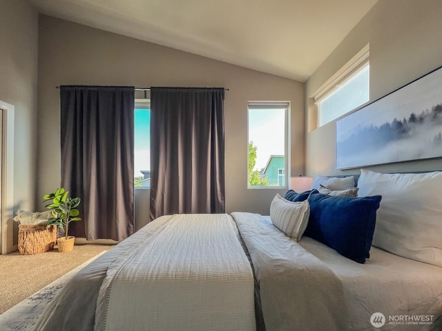 826 SW 96th Pl, Seattle, WA 98106 - photo 16