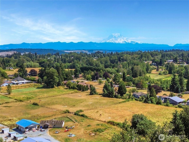 914 109th Avenue Ct E, Edgewood, WA 98372 - photo 29