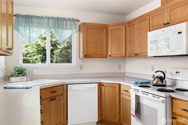 2021 Doe Dr, Oak Harbor, WA 98277 - photo 10
