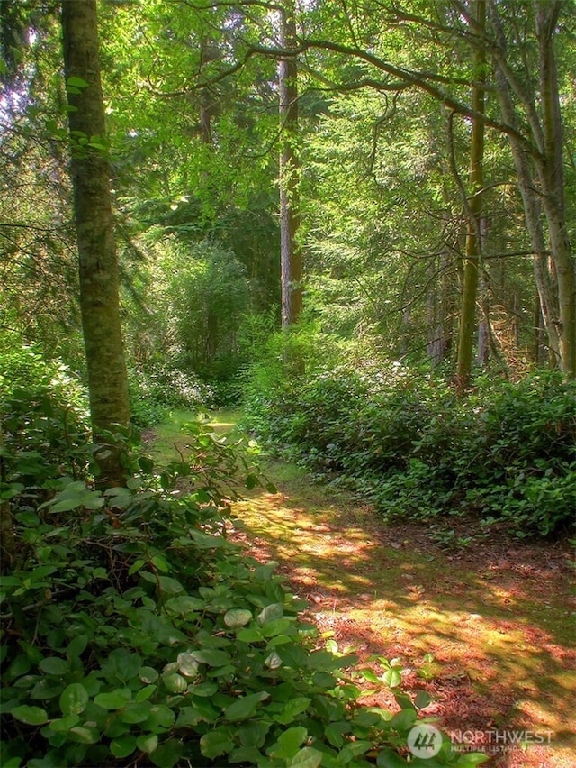 2021 Doe Dr, Oak Harbor, WA 98277 - photo 24