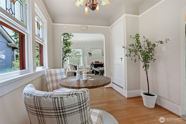 824 NW 56th St, Seattle, WA 98107 - photo 10