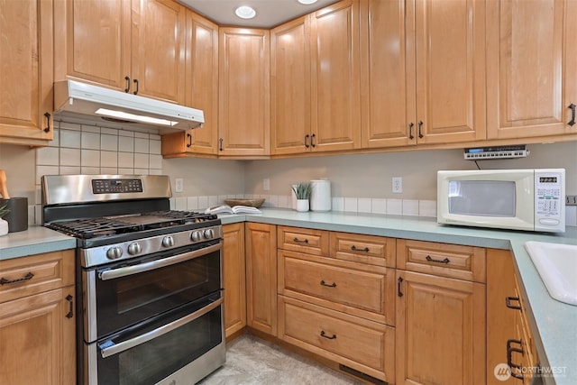 824 NW 56th St, Seattle, WA 98107 - photo 13