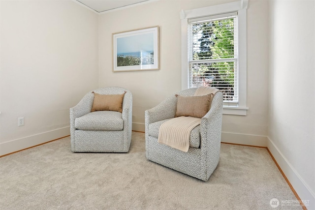 824 NW 56th St, Seattle, WA 98107 - photo 19