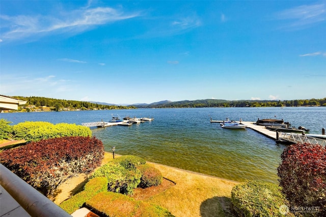 708 Poplar Dr Unit 8, Bellingham, WA 98226 - photo 34