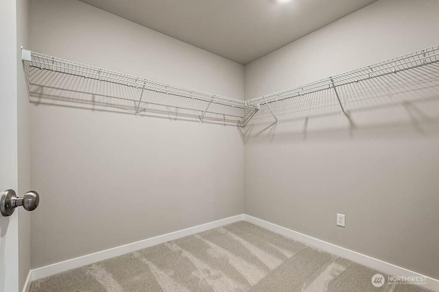 9905 38th Street Ct E Unit 39, Edgewood, WA 98371 - photo 29