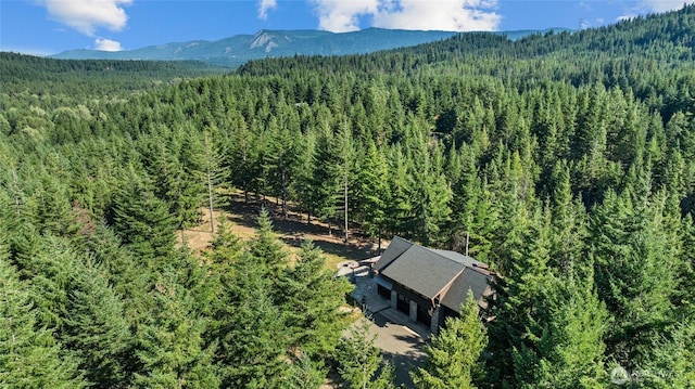 190 Orphan Nugget Ln, Cle Elum, WA 98922 - photo 38