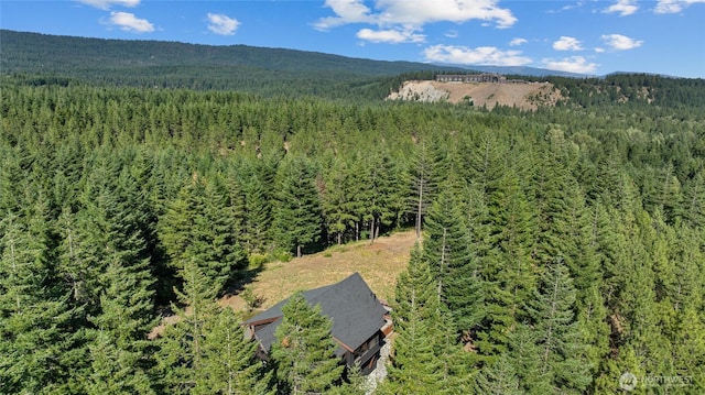 190 Orphan Nugget Ln, Cle Elum, WA 98922 - photo 39