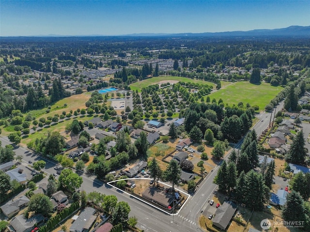 5649 45th Ave SE, Lacey, WA 98503 - photo 3