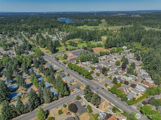 5649 45th Ave SE, Lacey, WA 98503 - photo 4
