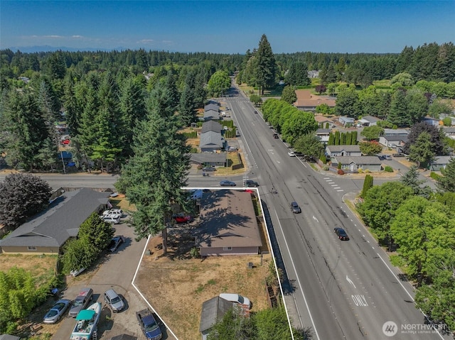 5649 45th Ave SE, Lacey, WA 98503 - photo 8