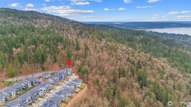 599 Viewcrest Dr NW, Issaquah, WA 98027 - photo 40