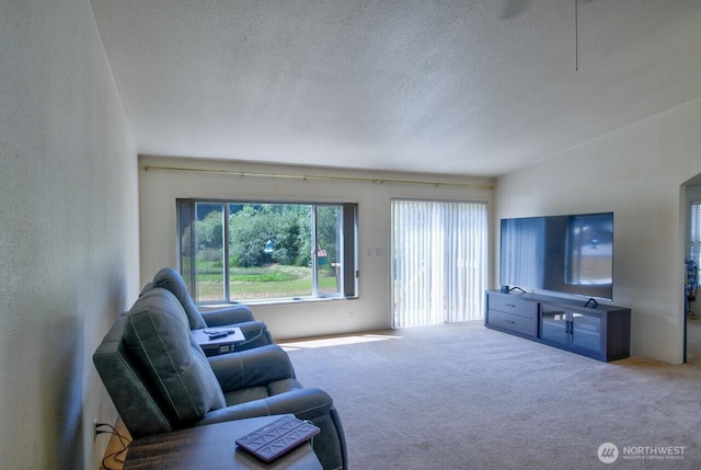 930 Tipsoo Loop N, Rainier, WA 98576 - photo 6