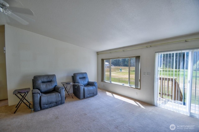 930 Tipsoo Loop N, Rainier, WA 98576 - photo 7
