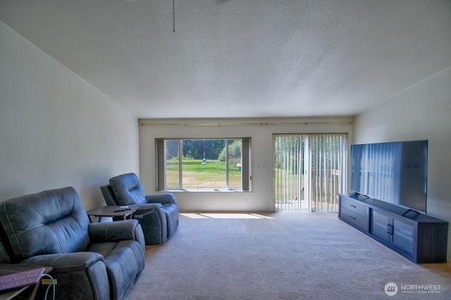 930 Tipsoo Loop N, Rainier, WA 98576 - photo 8