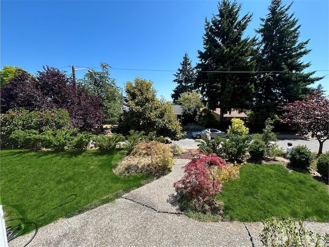7353 29th Ave SW, Seattle, WA 98126 - photo 5