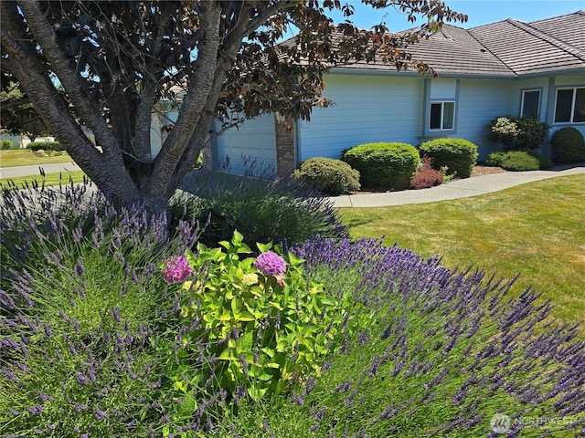361 Blakely Blvd, Sequim, WA 98382 - photo 38