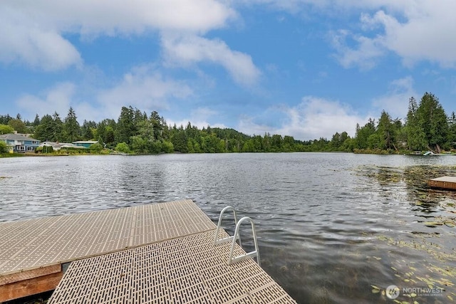 7501 129th Pl SE Unit G101, Newcastle, WA 98056 - photo 22