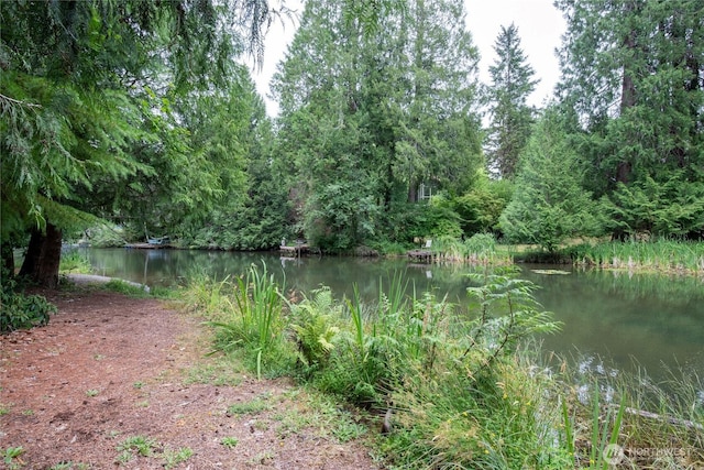 41 E Westlake Pl, Allyn, WA 98524 - photo 29